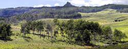 Castle Mountain 5466
